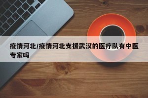 疫情河北/疫情河北支援武汉的医疗队有中医专家吗
