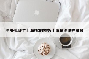 中央批评了上海精准防控/上海精准防控策略